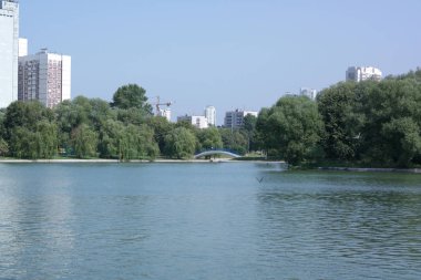 Şehir parkında yaz