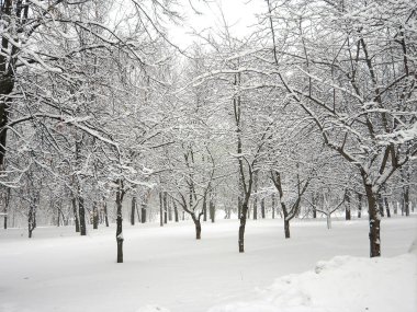 bir gün sonra kar yağışı