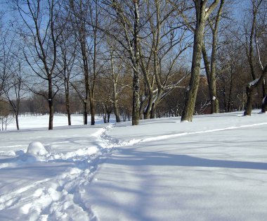 güneşli bir günde kar