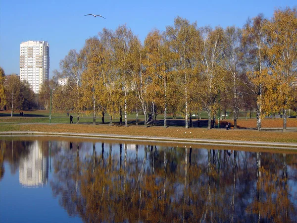 Park in gouden val — Stockfoto