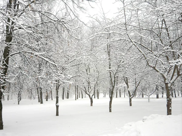 Efter snöfall på dagen — Stockfoto