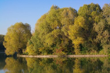 Sonbaharda altın park