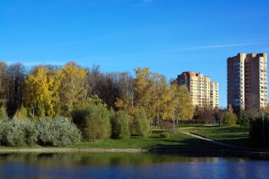Sonbaharda altın park