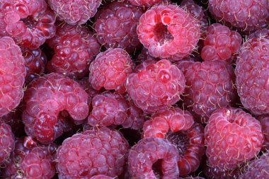 bir sürü ahududu var.