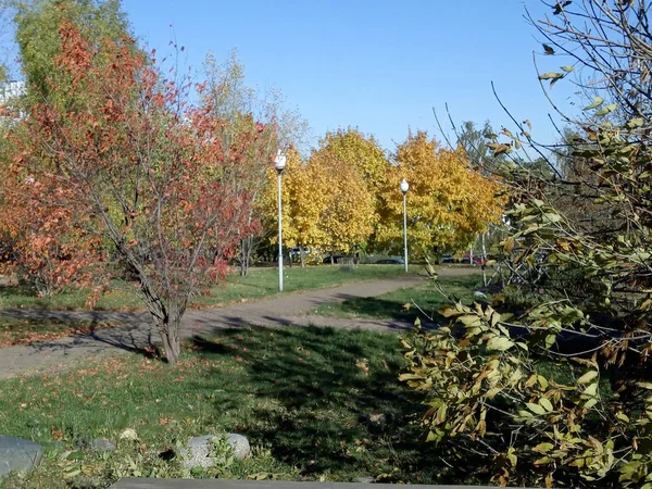건기에 도시의 일부 지역에서의 가을 — 스톡 사진