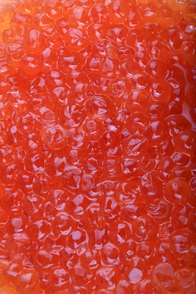 Red caviar at day — Stock Photo, Image