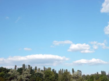 gökyüzü ve gün ağaca