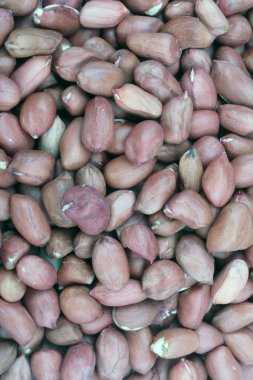 Gün itibariyle Arachis arka plan