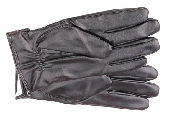 Kožené rukavice izolované suché dni — Stock fotografie