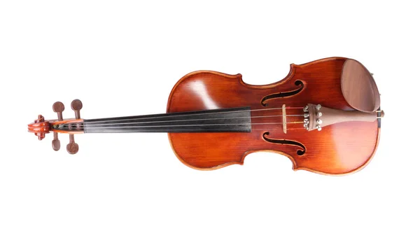 Violino Madeira Vermelha Isolado — Fotografia de Stock