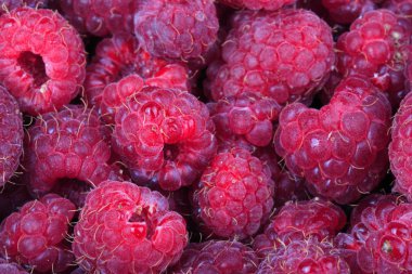 bir sürü ahududu var.