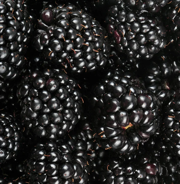 bir sürü BlackBerry