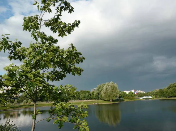 Verano en parque de la ciudad — Foto de Stock