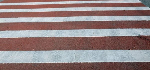 Cruce por carretera en día seco — Foto de Stock