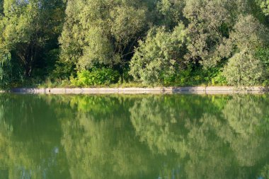 Kuru gün Park'ta yaz