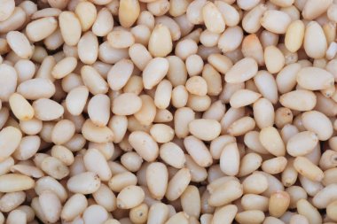 Bir sürü sedir fıstığı.