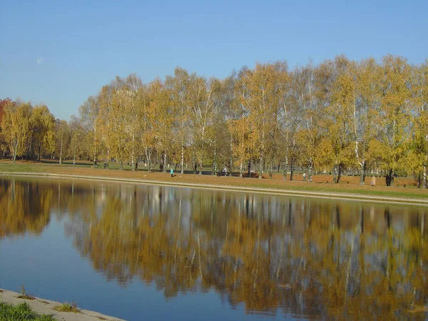 Parque em queda de ouro — Fotografia de Stock