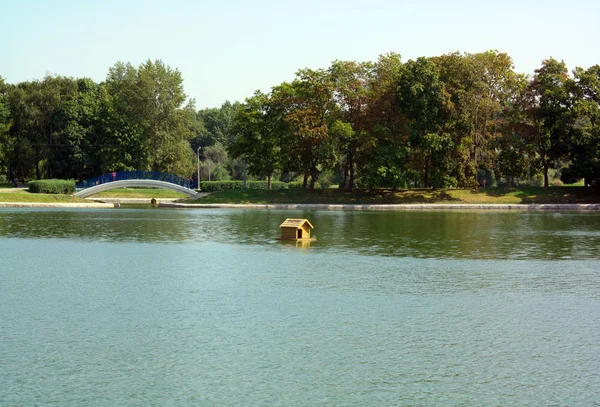 Sommar i stadsparken — Stockfoto