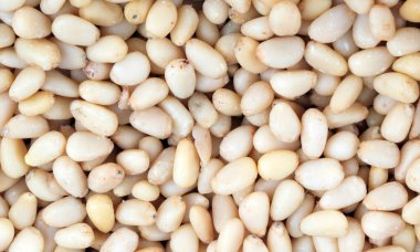 Bir sürü sedir fıstığı.