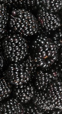 bir sürü BlackBerry