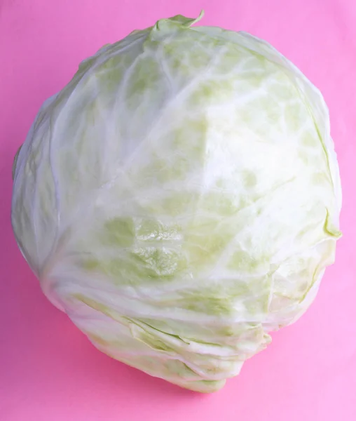 Head of White Cabbage on Pink Background — Stock Photo, Image