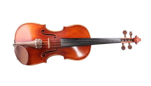 하루에서 바이올린 — 스톡 사진