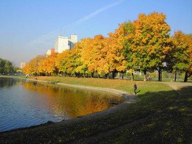Şehir parkında sonbahar
