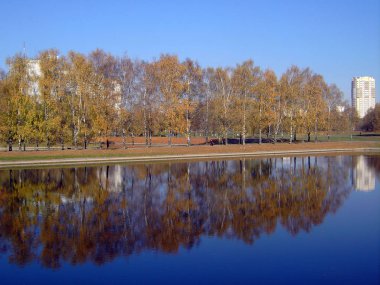 Sonbaharda altın park