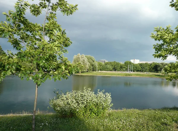 Sommar i stadsparken — Stockfoto