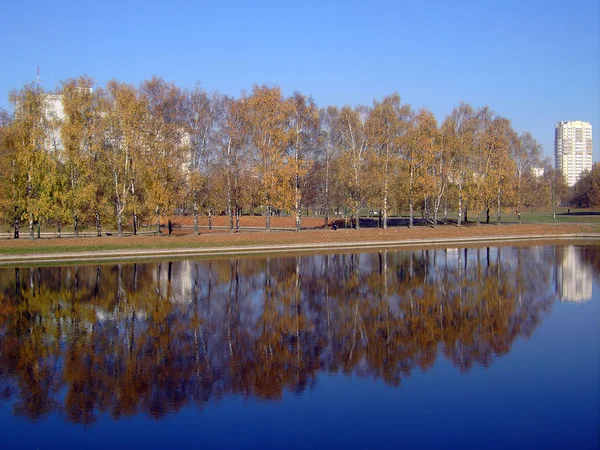 Parque em queda de ouro — Fotografia de Stock