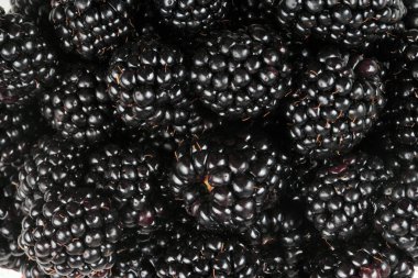 bir sürü BlackBerry