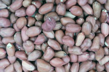 Kuru gün vasıl Arachis geçmiş