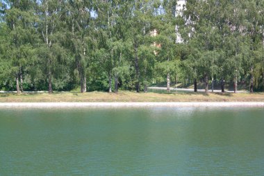 Şehir parkında yaz