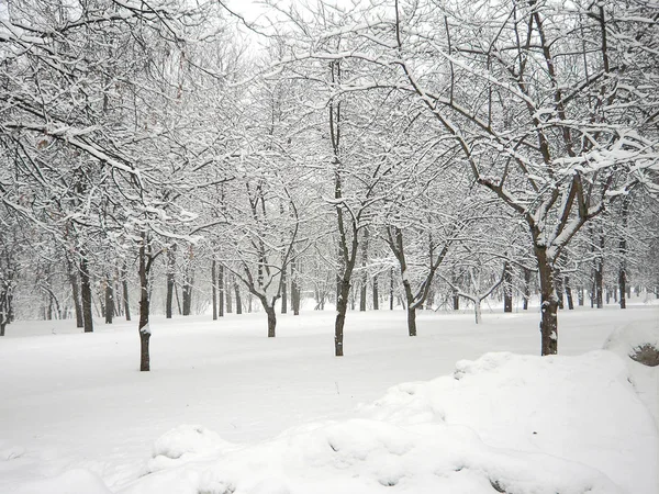 Dopo nevicate nel giorno asciutto — Foto Stock