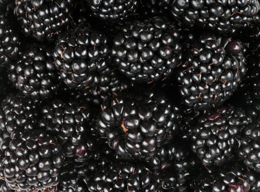 bir sürü BlackBerry