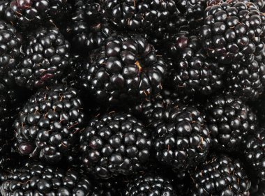 bir sürü BlackBerry