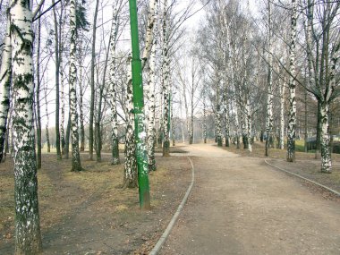 Şehir parkında bahar