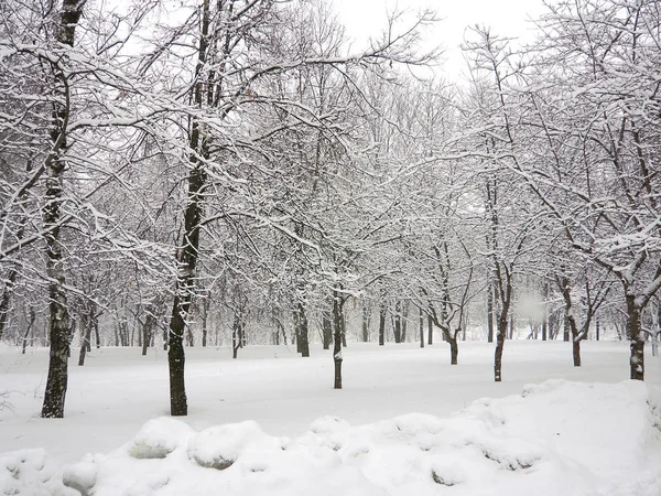 Efter snöfall — Stockfoto