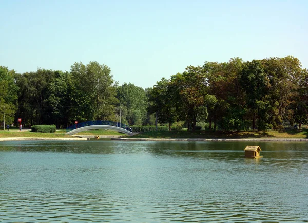 Été dans le parc de la ville — Photo