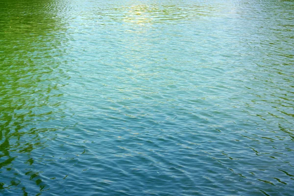 Zvlnění na vodě v city parku rybník — Stock fotografie