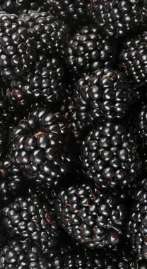 bir sürü BlackBerry