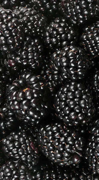 bir sürü BlackBerry