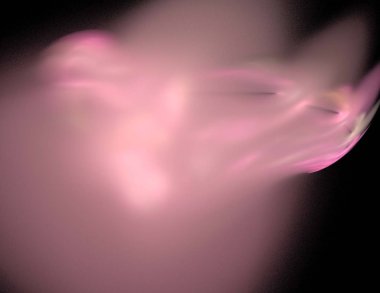 Siyah Renk Üzerine Bir Dijital Fraktal Resmi