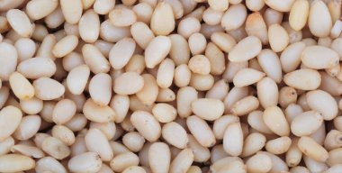 Bir sürü sedir fıstığı.