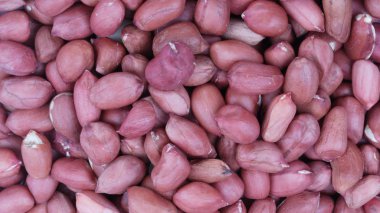 Kuru gün vasıl Arachis geçmiş