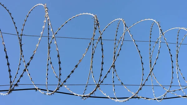 Barbwire en el fondo del cielo —  Fotos de Stock