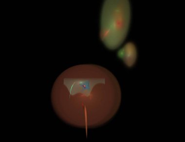 Siyah Renk Üzerine Bir Dijital Fraktal Resmi