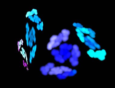 Siyah Renk Üzerine Bir Dijital Fraktal Resmi