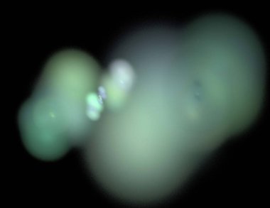 Siyah Renk Üzerine Bir Dijital Fraktal Resmi