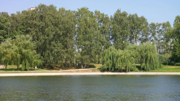 Şehir parkında yaz